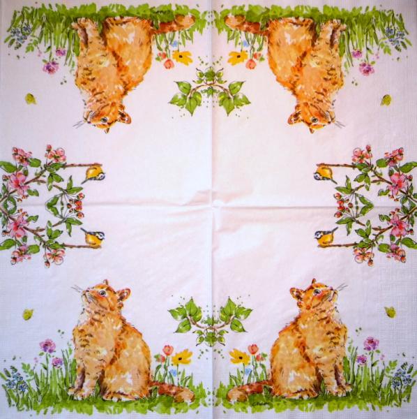 299 Katzen - 3-lagig